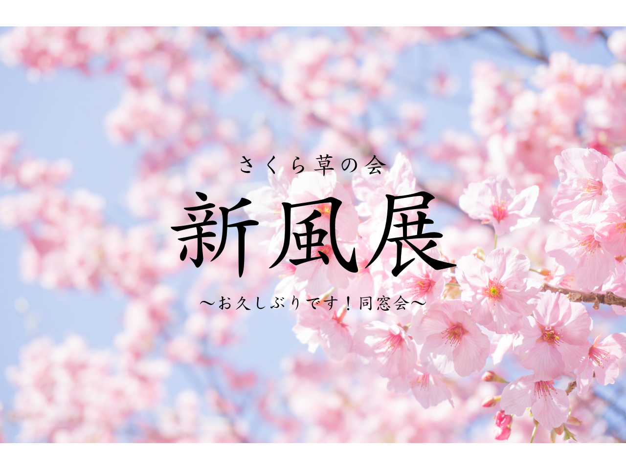 新風展